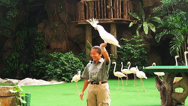Парк Птиц Джуронг в Сентозе