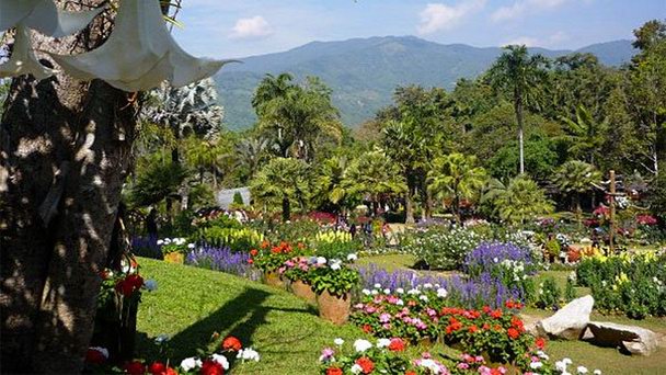 Ботанический сад Mae Fah Luang в Чианг Раи