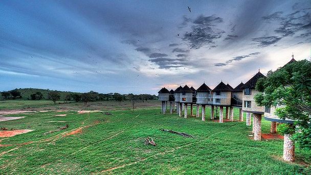 Национальный парк Таита Хиллз в Цаво