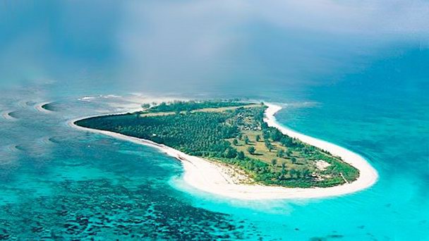 Остров Бёрд в Виктории Остров Бёрд в Виктории