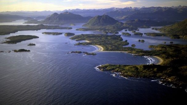 Залив Clayoquot в Британской Колумбии