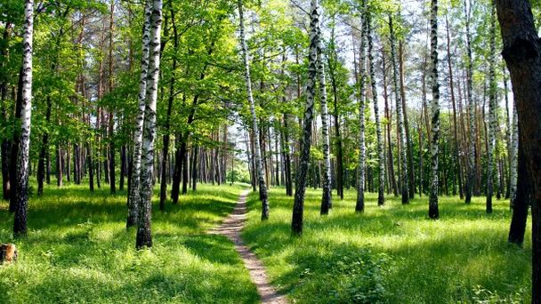 Ромны в Сумах