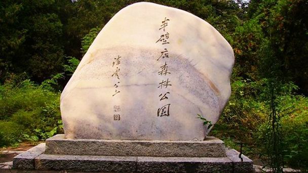 Лесопарк Банбидиан в Пекине Лесопарк Банбидиан в Пекине