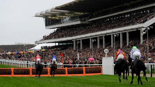 Ипподром Cheltenham в Англии Ипподром Cheltenham в Англии