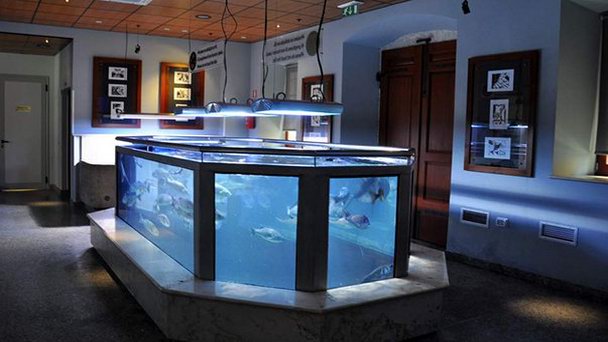 Аквариум в Пиране на Адриатическом побережье