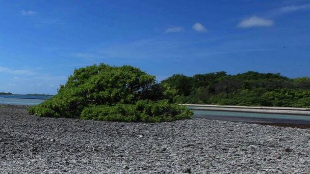 Остров Скалл на о-вах Лайне Остров Скалл на о-вах Лайне