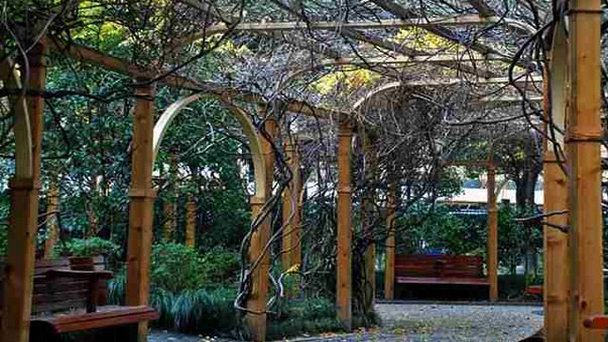 Парк Хуанпу в Шанхае