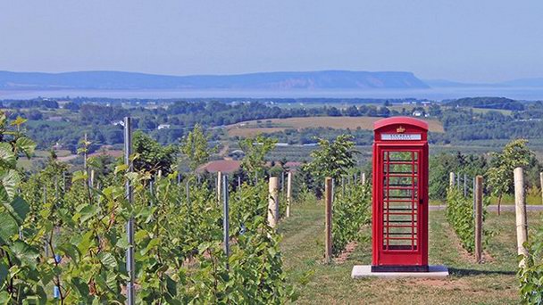 Виноградники Лакетт в Новой Шотландии