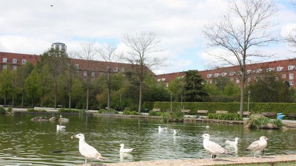 Парк Enghave в Копенгагене