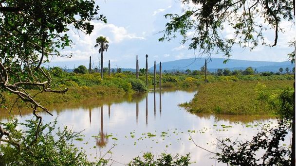 Охотничий резерват Селоус в Дар-эс-Саламе