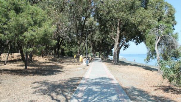 Эвкалиптовая роща в Лимассоле