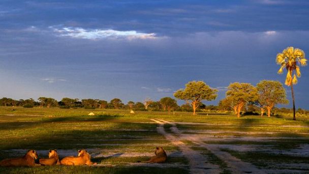 Национальный парк Хуэндж в Хванге Национальный парк Хуэндж в Хванге