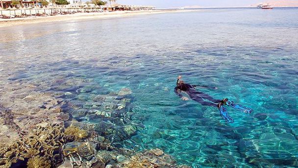 Бухта Рас Насрани в Шарм-Эль-Шейхе