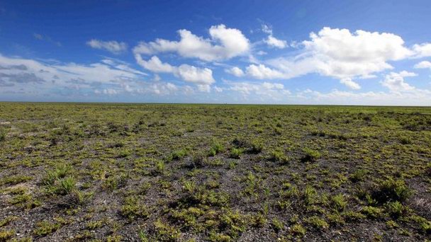 Остров Старбак на о-вах Лайне