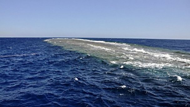 Рифы Шааб абу Рамада в Хургаде