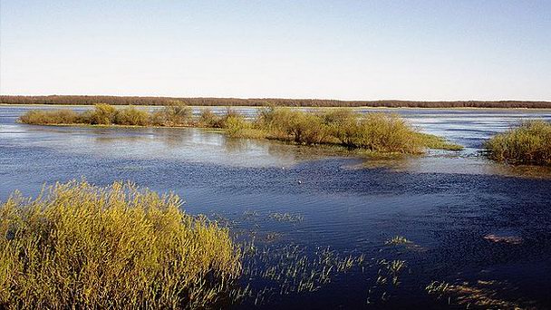 Национальный парк Бебржанский в Белостоке