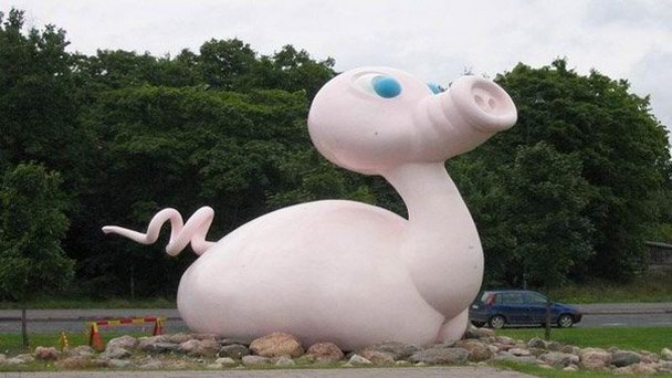 Свиноутка Посанкка в Турку