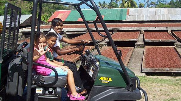 Плантация какао Belmont Estate на Гренаде