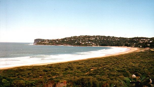 Пальмовый пляж в Сиднее