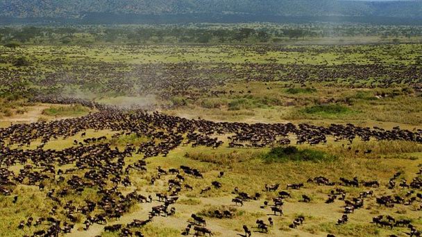 Национальный парк Андре-Феликс в Банги Национальный парк Андре-Феликс в Банги