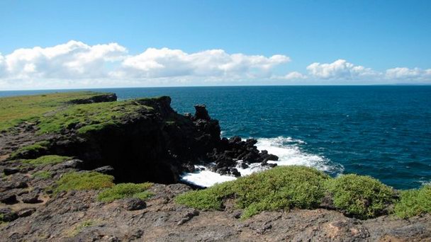 Остров Santa Fe на Галапагосских островах Остров Santa Fe на Галапагосских островах