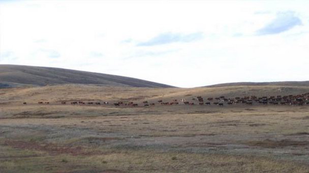 Гора Жаксы-Жалгызтау в Астане