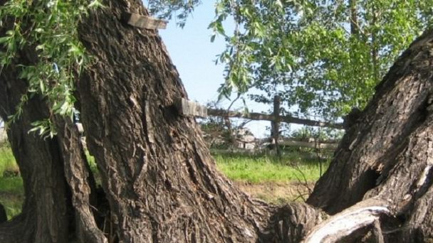 Караульный яр в Тюмени Караульный яр в Тюмени