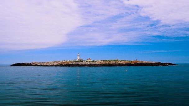 Остров Макиас-Сил в Нью-Брансуике