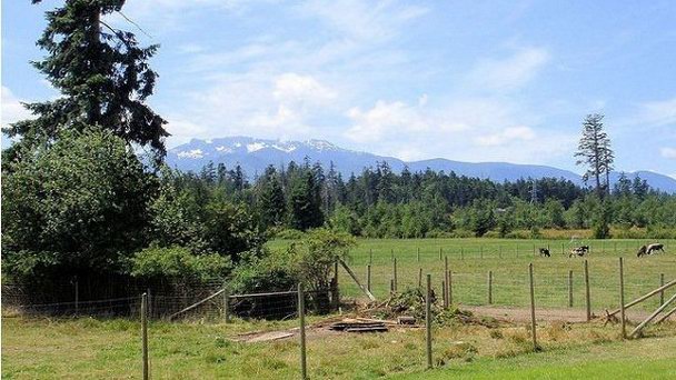 Ферма Little Qualicum Cheeseworks в Ванкувере