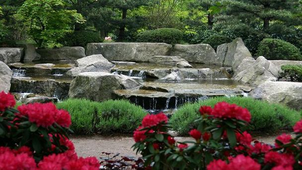 Парк Растения и Цветы в Гамбурге