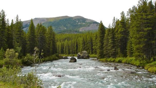 Река Maligne в Альберте