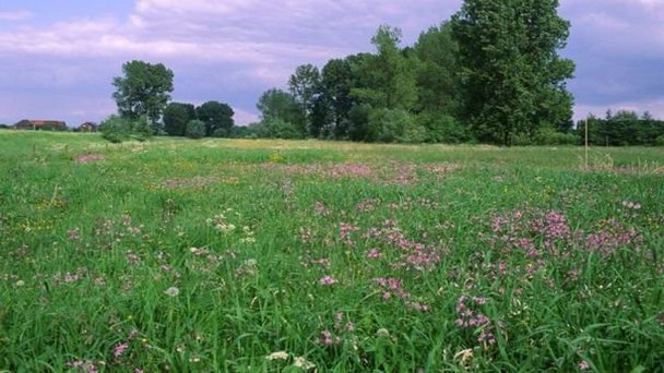 Зунская долина в Брюсселе
