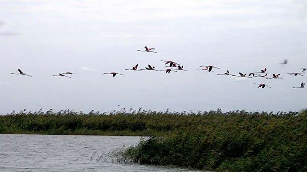 Апшеронский национальный парк в Баку